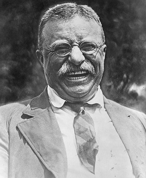 Teddy Roosevelt (Wikipedia)