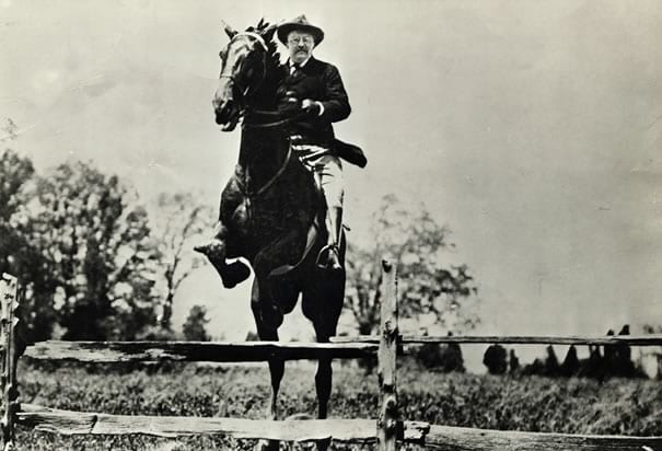 theodore roosevelt riding a moose