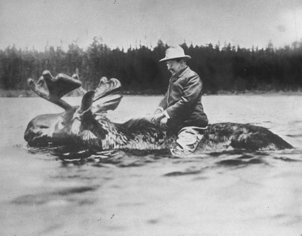 Teddy Roosevelt riding a moose in the water (seriously?)