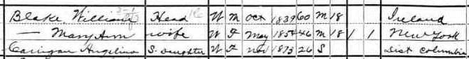 Blake household in the 1900 U.S. Census