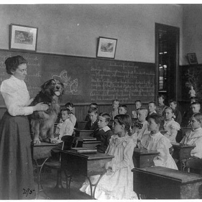 Classroom scenes in Washington, D.C. public schools: studying live dog, 5th Division -1899 (Library of Congress)
