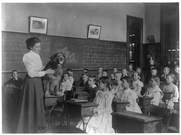 Classroom scenes in Washington, D.C. public schools: studying live dog, 5th Division -1899 (Library of Congress)