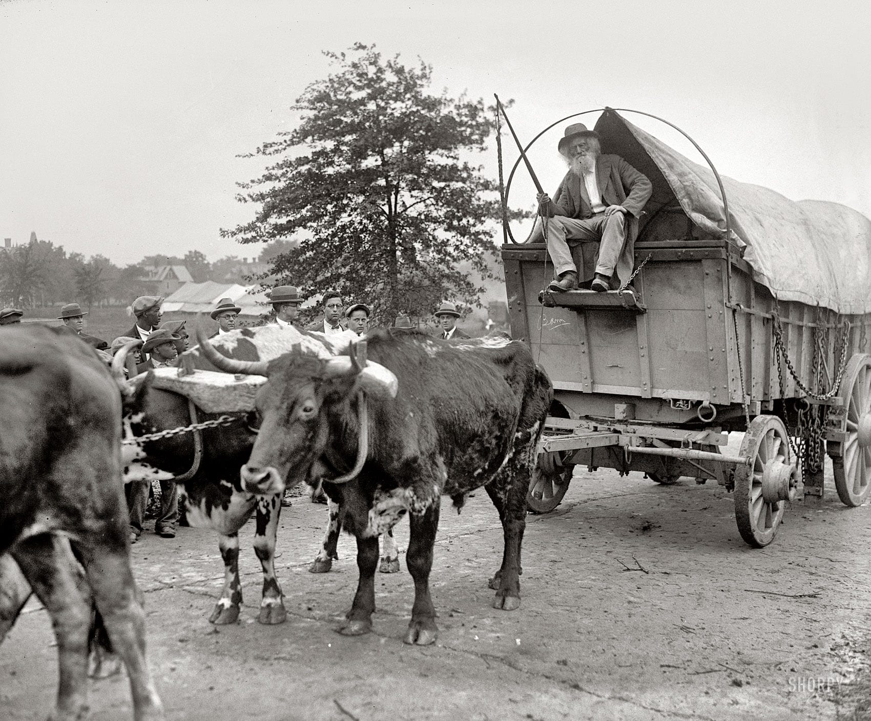 May 11th, 1925. Washington, D.C. "Ezra Meeker with 101 Ranch." The Wild West show rolls into town at the Florida Avenue fairgrounds. Ezra Meeker, "hero of the Oregon Trail," was part of the parade. National Photo glass neg. (Shorpy)