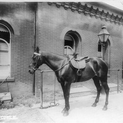 White House stables and horse during Teddy Roosevelt's administration (Library of Congress)
