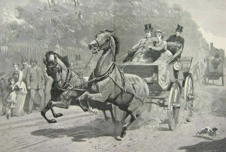 Runaway horse and carriage