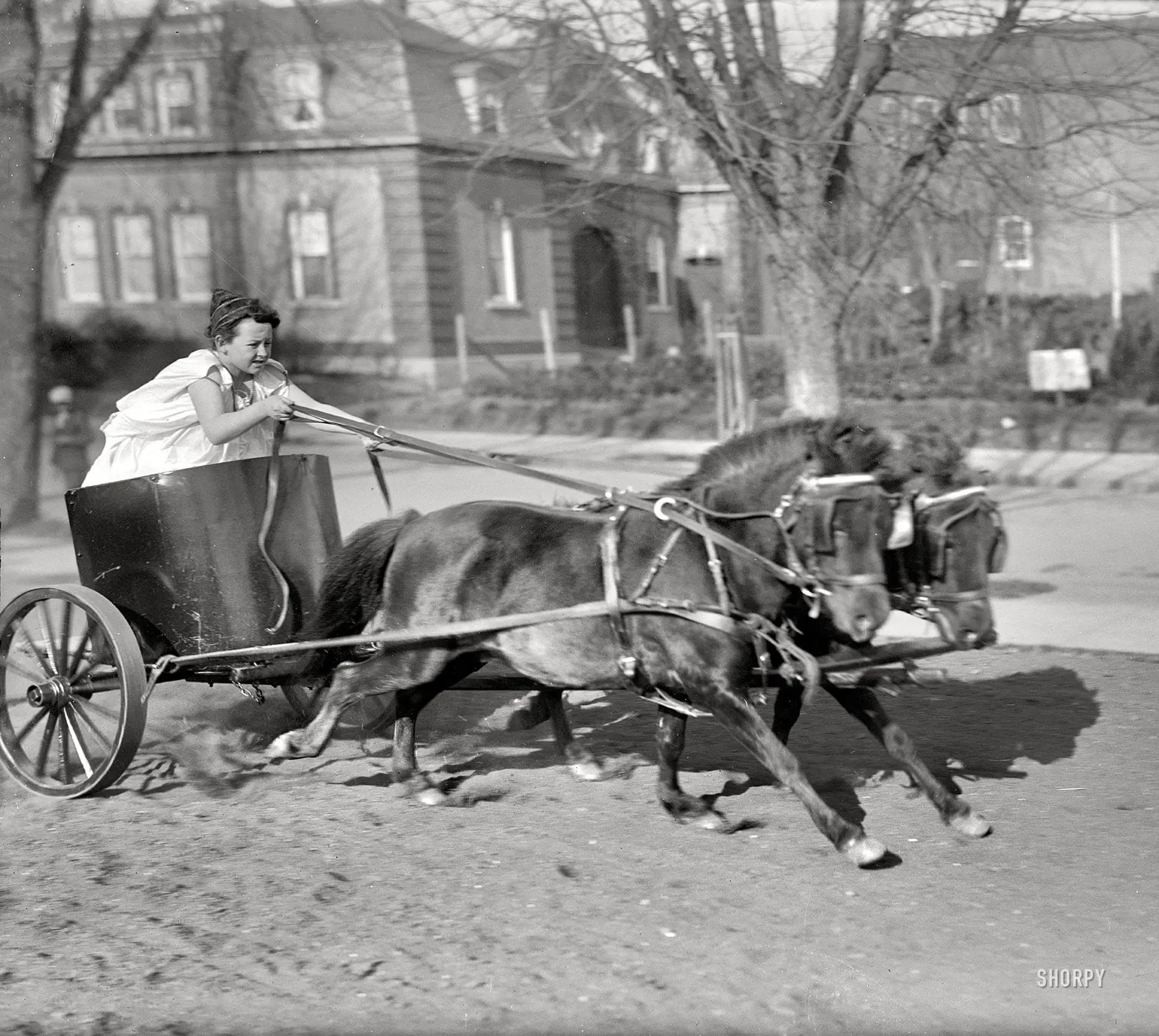 Washington, D.C., circa 1917. "Devereux child in chariot." Late for the toga party. Harris & Ewing Collection glass negative. (Shorpy)