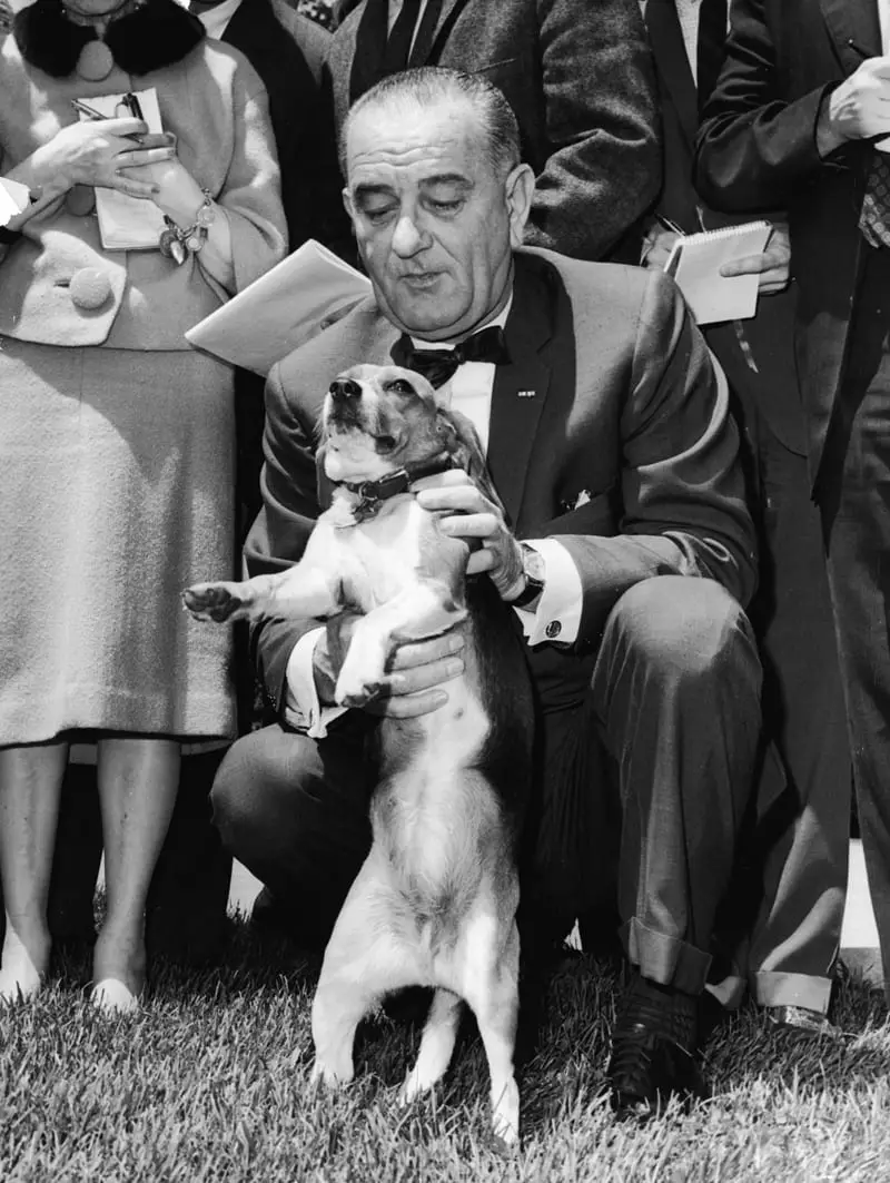 LBJ's Beagle Run Over and Killed in 