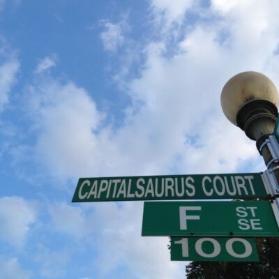 Capitalsaurus Court street sign