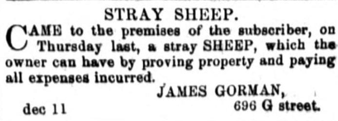 notice of stray sheep - December 14th, 1860 (National Republican)