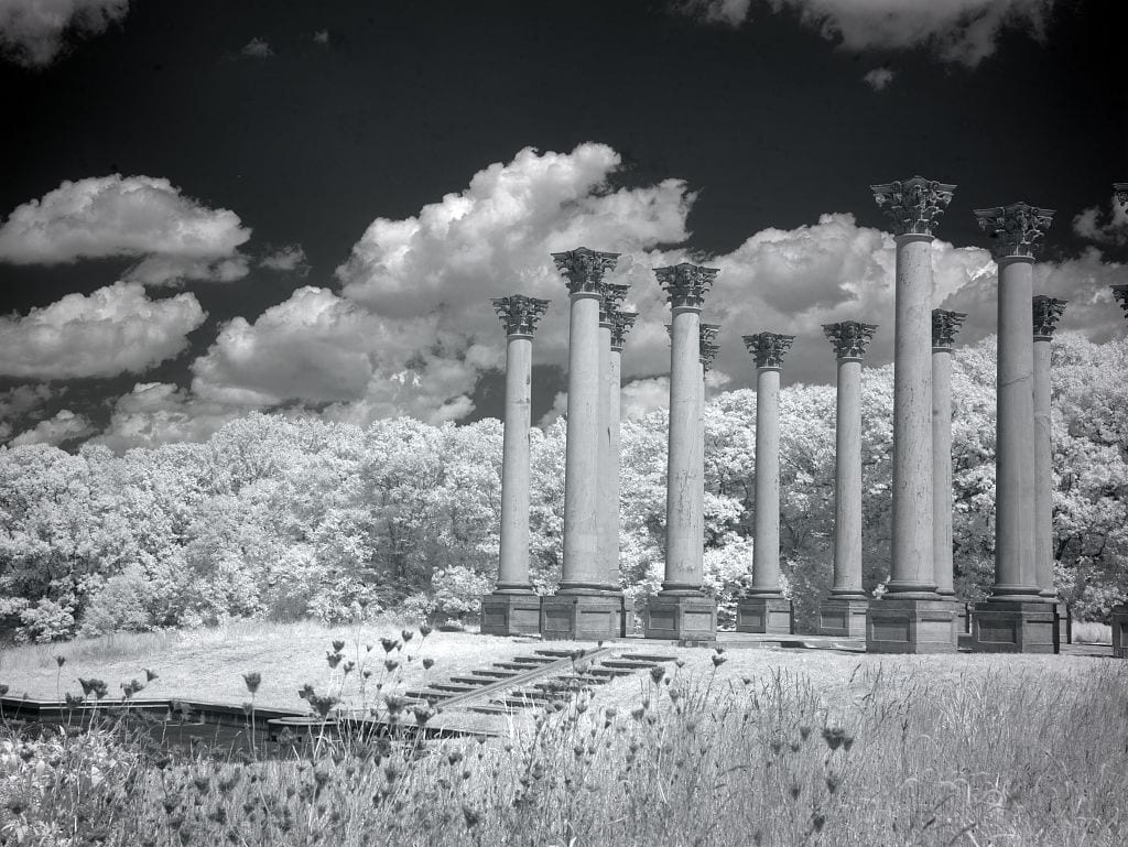 old Capitol columns at the National Arboretum (Library of Congress)