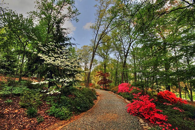 path in the National Arboretum