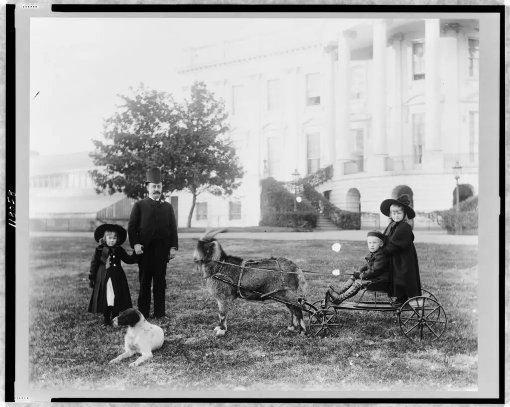 Major Russell Harrison and Harrison children--Baby McKee and sister on goat cart