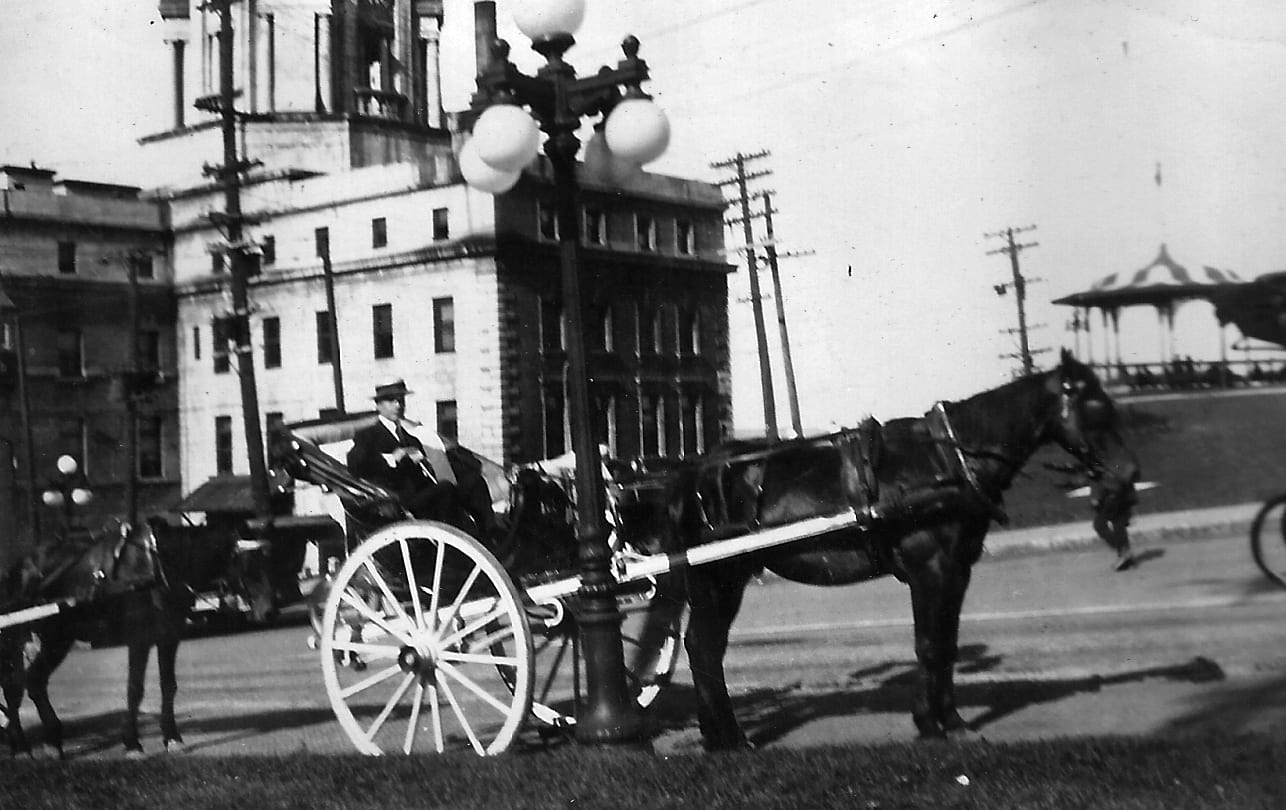 horse buggy