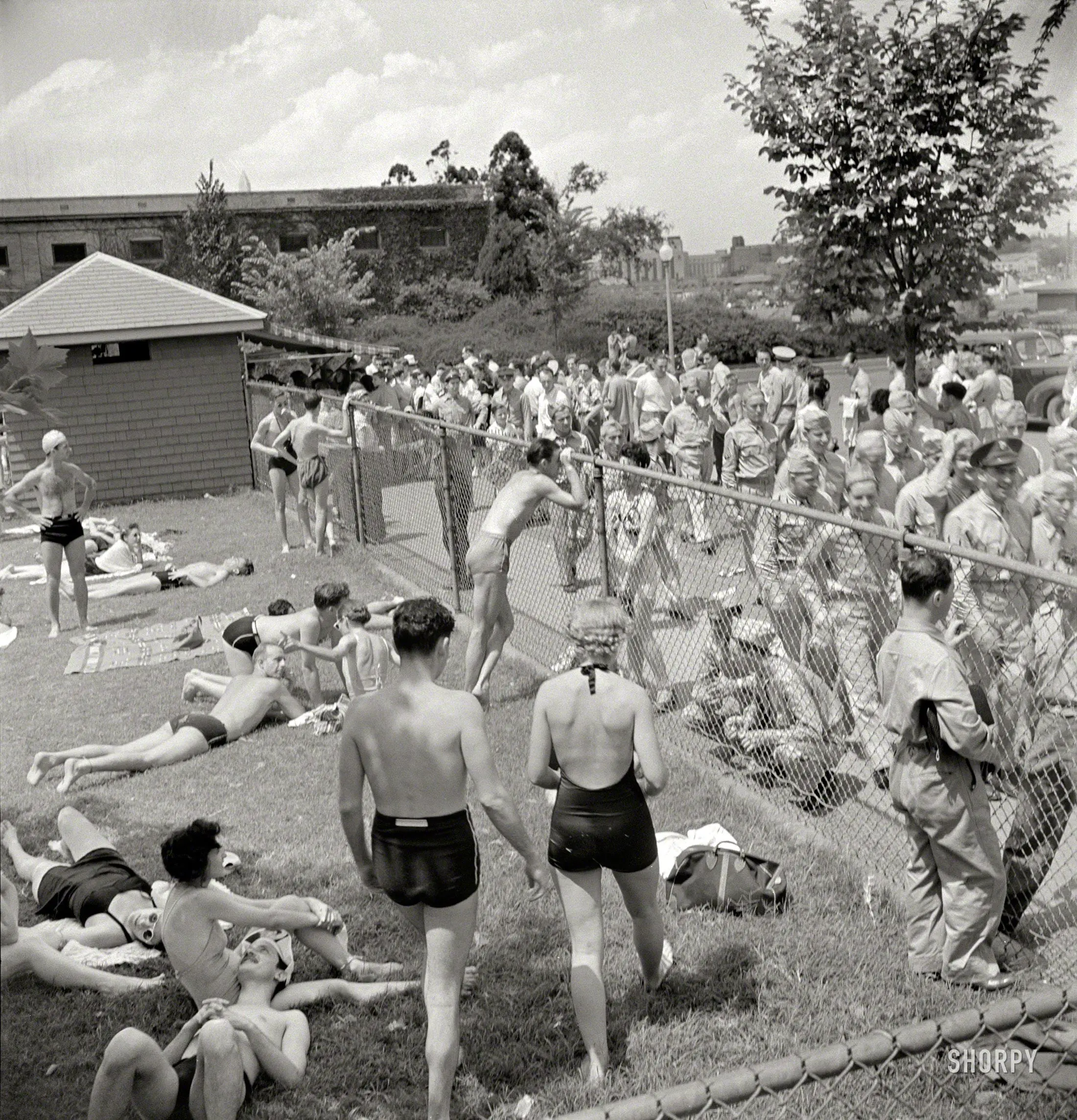 July 1942. "Sunbathers on the grass next to the municipal swimming pool on Sunday." The pasty white underbelly of wartime Washington. Medium format negative by Marjory Collins for the Office of War Information.