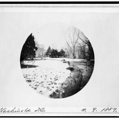Franklin Square in the snow - April 9th, 1889