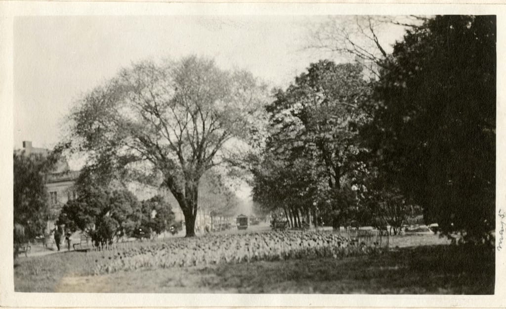 Farragut Square in 1919