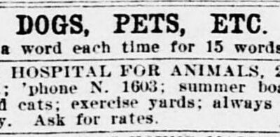 Dog, Pets, Etc classified ads in the Evening Star