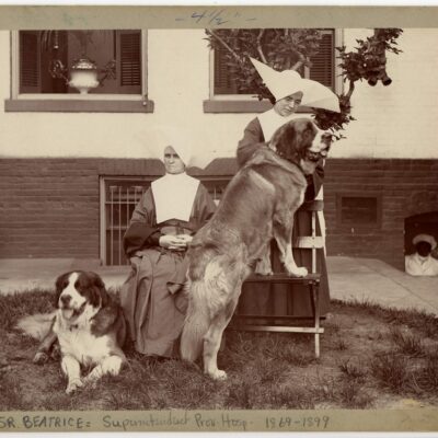Sister Beatrice, Superintendant of Providence Hospital in garden with another nun and St. Bernard dogs. c.1890. General Photograph Collection, HSW