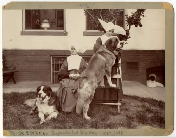 Sister Beatrice, Superintendant of Providence Hospital in garden with another nun and St. Bernard dogs. c.1890. General Photograph Collection, HSW