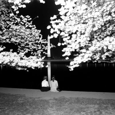 Two girls view the cherry blossoms at night from the Tidal Basin, undated, Scurlock Studio. Scurlock Studio Records, c. 1905-1994, Archives Center, National Museum of American History. Neg. no. 2008-4935.