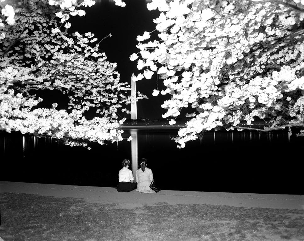 Two girls view the cherry blossoms at night from the Tidal Basin, undated, Scurlock Studio. Scurlock Studio Records, c. 1905-1994, Archives Center, National Museum of American History. Neg. no. 2008-4935.