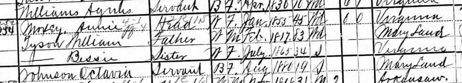 William Tyson in the 1900 U.S. Census