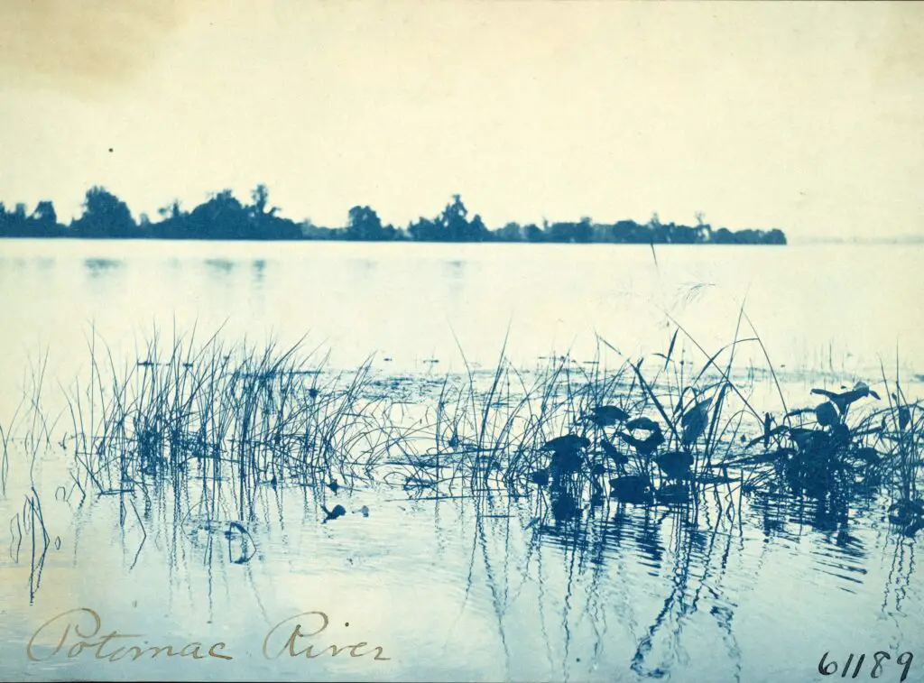 Potomac River in 1898
