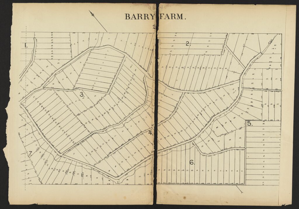 Plate 23. Barry Farm 2