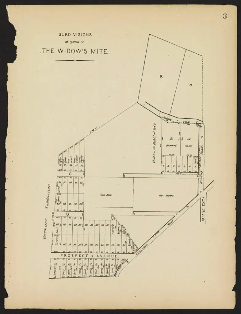 Plate 3. Subdivisions of parts of The Widow's Mite