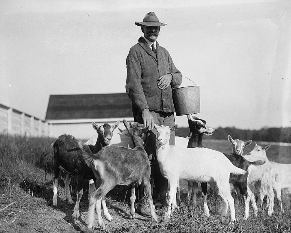 Agricultural Research Center in Beltsville, 1919. Source: Library of Congress