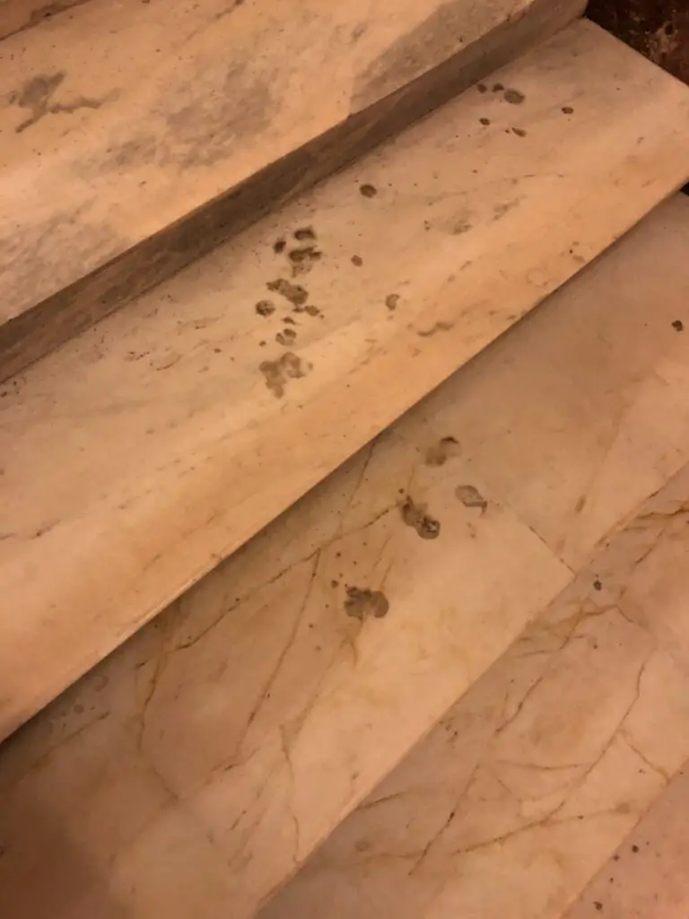 An historical photograph showing bloodstains on the marble stairs inside the US Capitol, marking the spot where Congressman William Taulbee was shot by a journalist on February 28, 1890. Taulbee succumbed to his injuries on March 11.