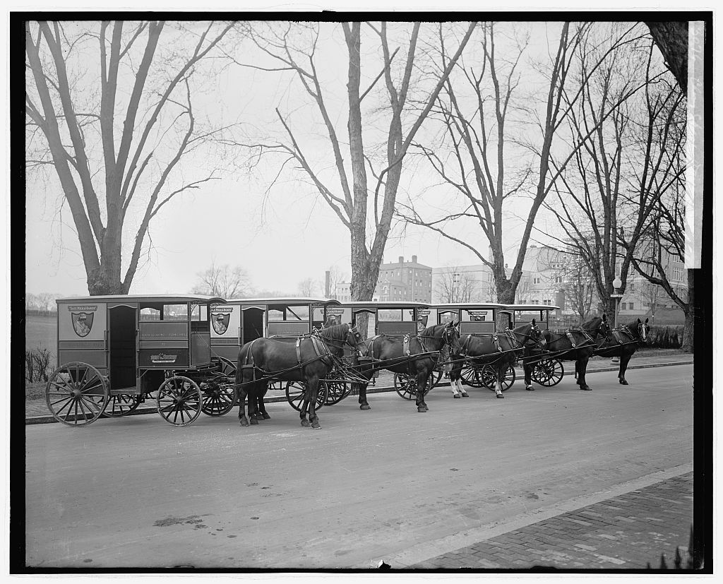Horse-drawn Chevy Chase Dairy delivery wagons lined up along a tree-shaded road