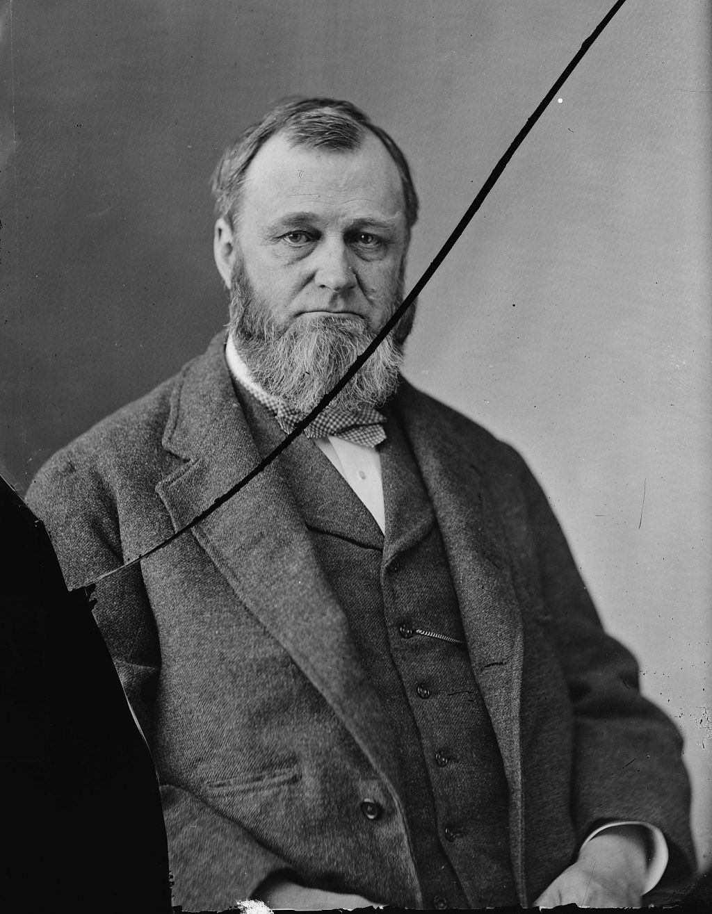 Portrait of Spencer Fullerton Baird, second Secretary of the Smithsonian Institution