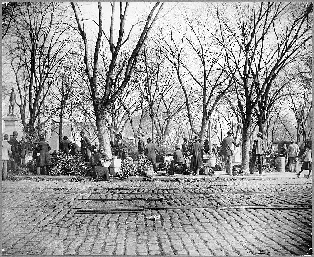 Vendor selling greens at the curbside of the old Center Market in Washington D.C., late nineteenth century.