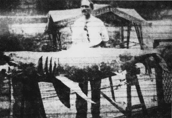 Michael Schleisser with the shark caught in Raritan Bay during the 1916 Jersey Shore attacks