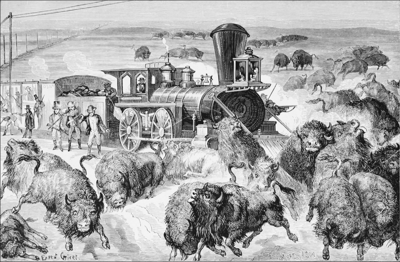 Engraving of buffalo being shot from a train on the Kansas Pacific Railroad
