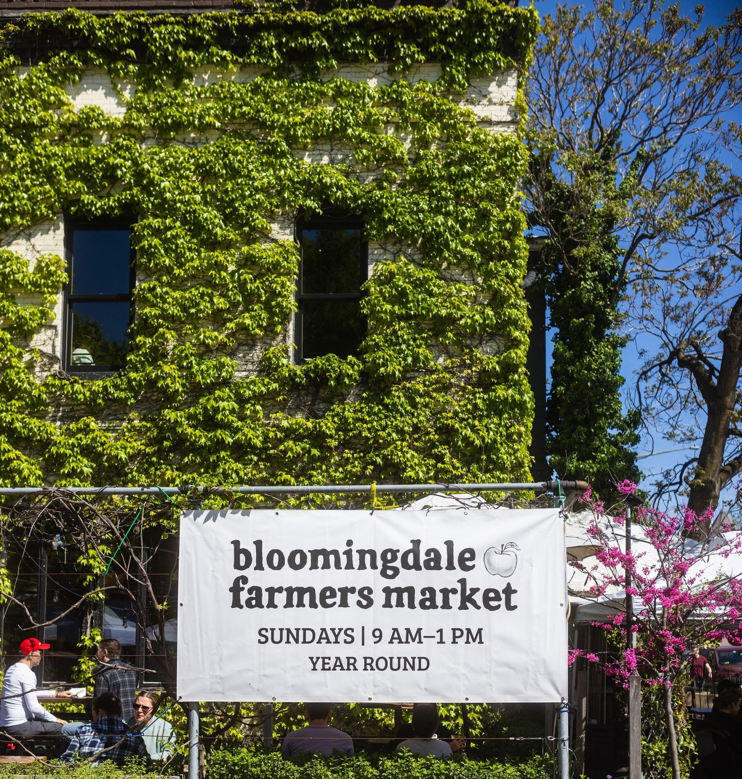 Sunday Bloomingdale Farmers Market next to Big Bear Cafe