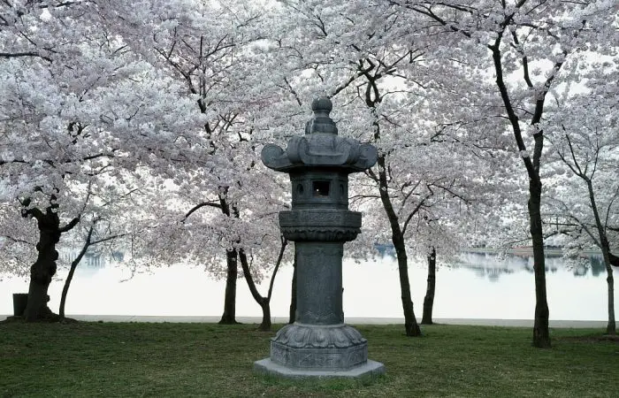 Japanese lantern stone statue in West Potomac Park