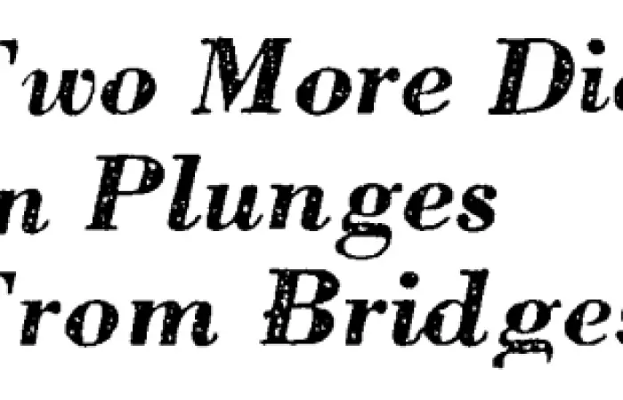 Bridge suicides headline